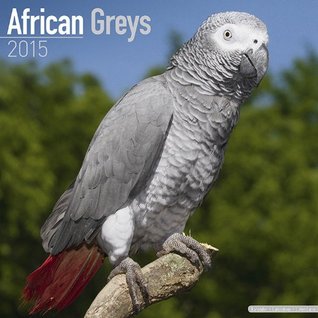 Read Online African Greys Calendar - Just African Greys Calendar - 2015 Wall calendars - Animal Calendars - Parrot Calendars - Monthly Wall Calendar by Avonside -  | ePub