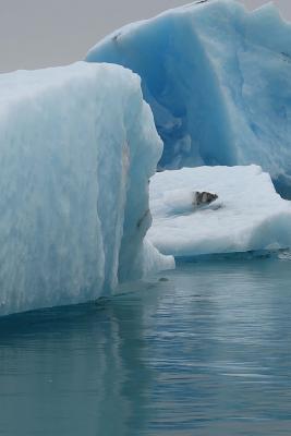 Download Glacier Ice in Shades of Blue Icebergs in the Arctic Journal: 150 Page Lined Notebook/Diary -  | PDF