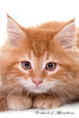 Read Online Maine Coon Workbook of Affirmations Maine Coon Workbook of Affirmations: Bullet Journal, Food Diary, Recipe Notebook, Planner, To Do List, Scrapbook, Academic Notepad - Alan Haynes file in PDF