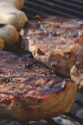 Read Online BBQ Meat on the Grill Journal - Barbecue Time!: 150 Page Lined Notebook/Diary -  file in PDF