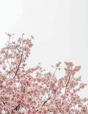 Download Hanzi, Chinese Writing Book: Tian GE Ben, Notebook for Practice, Handwriting, Chinese Character, Pinyin, Singapore, Malaysia, Korea, Taiwan.. -  file in PDF