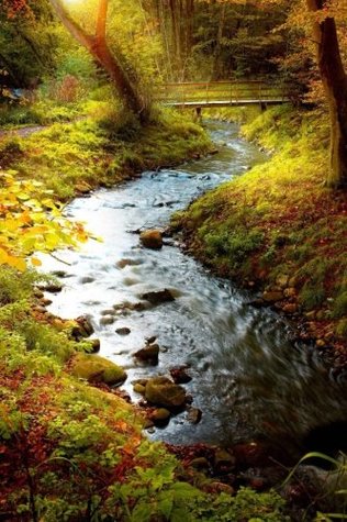 Read MindBlowing Nature Journal 28: 150 page lined amazing nature journal - mindblowing journals file in PDF