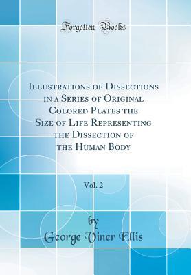 Read Online Illustrations of Dissections in a Series of Original Colored Plates the Size of Life Representing the Dissection of the Human Body, Vol. 2 (Classic Reprint) - George Viner Ellis file in PDF