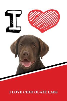 Download I Love Chocolate Labs: Isometric Dot Paper Portrait Notebook 120 Pages 6x9 -  file in ePub