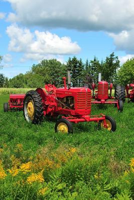 Download The Good Life Christian Devotional: A Sermon Journal for Farmers - Americana Essentials file in PDF