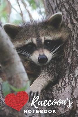 Read Raccoon Notebook: cute raccoons gift for children that love animals (blank lined notebook) best for writing notes and ideas for home use or as a school homework book for kids / notepad for girls / journal for journaling / raccoon journal/ -  | PDF